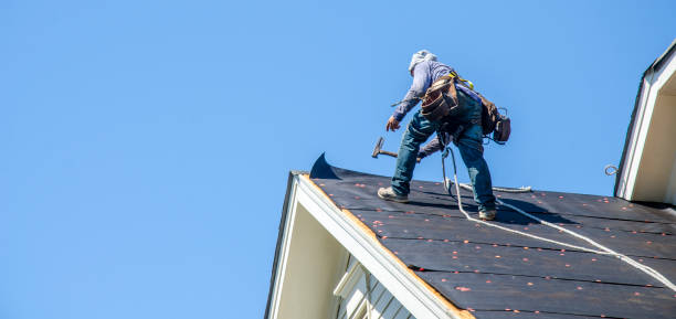 Best Roof Gutter Cleaning  in Denver, PA